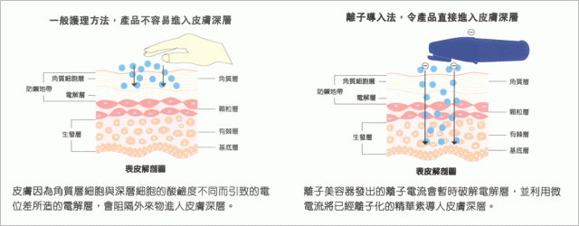 principle_handybio_2_b